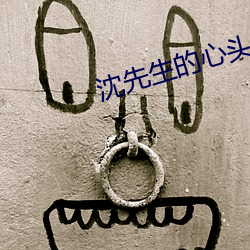 沈先生的心头宝 po