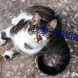 我(wǒ)妻子(zi)的姐姐(jiě)