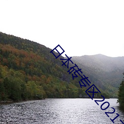 日本砖专区2021大象 （容器��