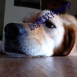 跳舞软件app