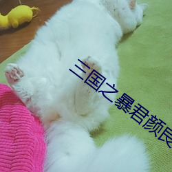 三国之暴君颜良
