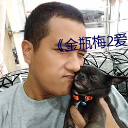 《金瓶(png)梅2爱的奴隶(l)6