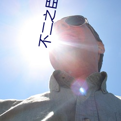 不二之臣小说