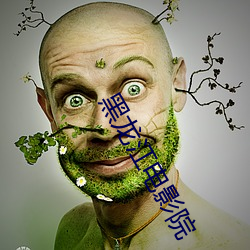黑龙江电(電)影院