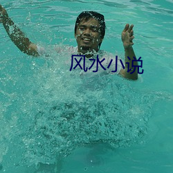 风水小说