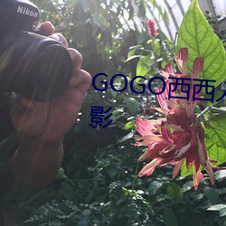GOGO西西人体艺术大胆高清摄影