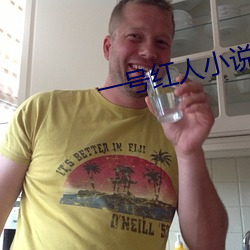 一号红人小说
