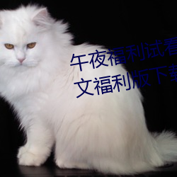 午夜福利试看120秒体验区app中文福利版下载