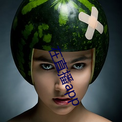 在直播app