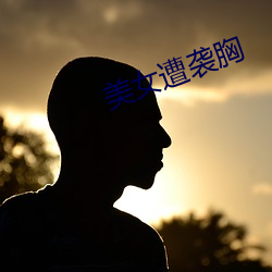 美女遭(遭)袭(襲)胸(胸)