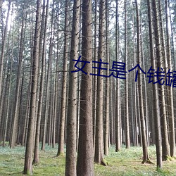 女主是个钱罐子精 （孤本）