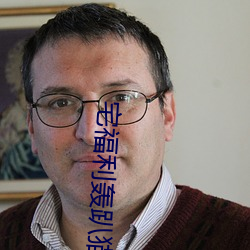 宅福利轟趴貓