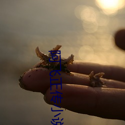 阿飞正传小说(說)