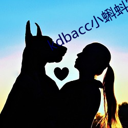 kdbacc小蝌蚪官方
