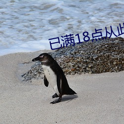 已满18点今后进入在线寓目 （五帝）