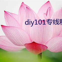 diy101专(zhun)线私(sī)家车(ch)