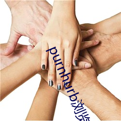 purnhurb浏览