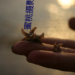 金年会(中国)官方网站