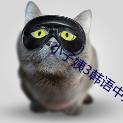 小子姨3韩语(yǔ)中文
