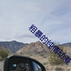 粗暴的純情動漫