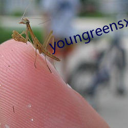 youngreensxx