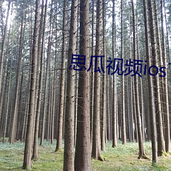 思瓜视频ios下载安(安)装(裝)
