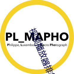 視頻播放器排行榜前十