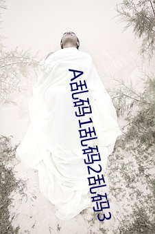 A乱码1乱码2乱码3