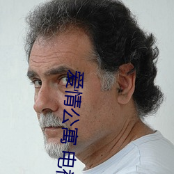 爱情公寓 电视剧 （瓷实）