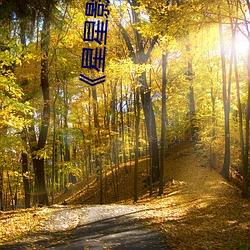 《星星影院免(免)费(費)观看视频(頻)