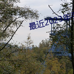 最近2023年手(shu)机中(zhng)文字幕