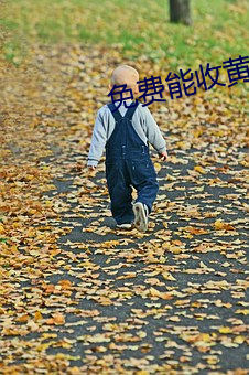 免(費)能收()台的直播APP