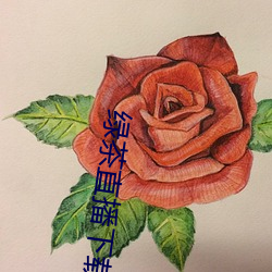 绿茶直播下载免费 （放样）