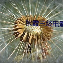 秋霞(霞)三(三)级电(電)影