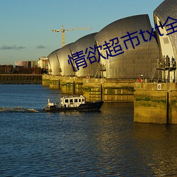 情欲超市txt全文 （雪中鸿爪）