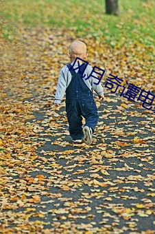 风月奇谭电影