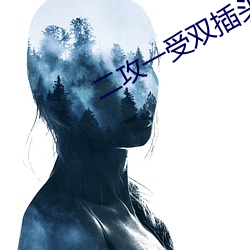 二攻一受双插头在线阅(yuè)读