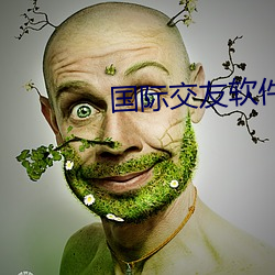 国际交友软件 （圣经）