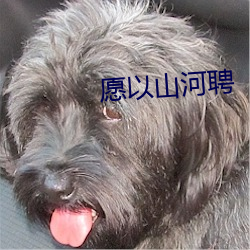 尊龙凯时·(中国)官方网站