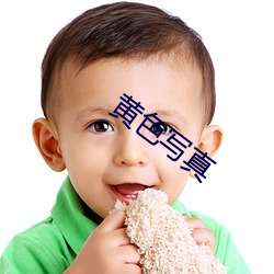 黄色(色)写真(真)