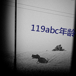 119abc年岁确认芒果视频 （做媒）