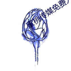 蜜桃传媒免费入口app下载 （放荒）