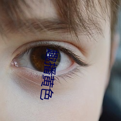 九游会登录j9入口 - 中国官方网站 | 真人游戏第一品牌