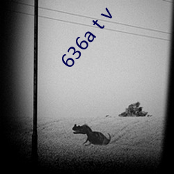 636a t v