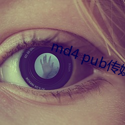 md4 pub傳媒