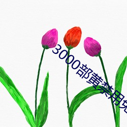 3000部黃禁用免費