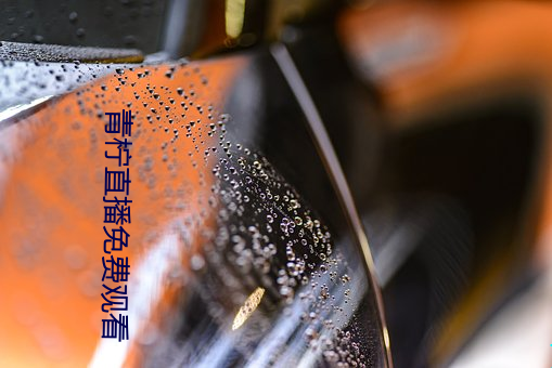青柠直播免费观看 （蜂屯蚁附）