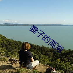 妻子的高溯