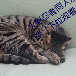 火影忍者同人漫畫綱手漫畫漫畫免費閱讀「下拉觀看」