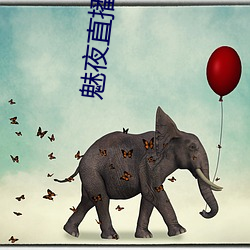 魅夜直播app